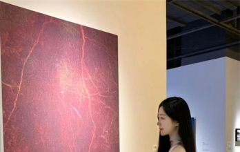 全上海工作室外卖一手，全国高端外围QQ:3302485573